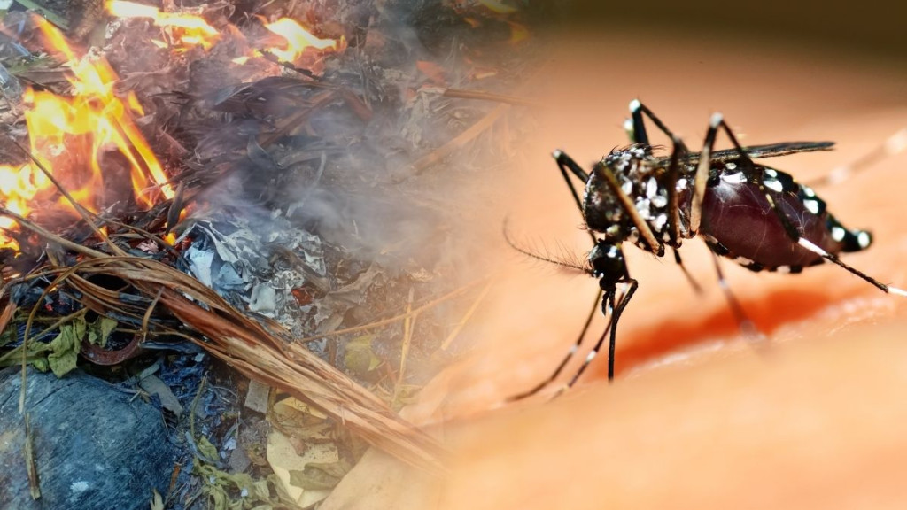 Kasus DBD di Jaksel Tembus 1.384 Sepanjang 2025, Pancoran Jadi Titik Terparah