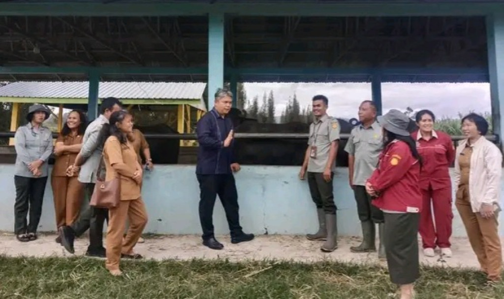 Pemkab Taput Tinjau Pengembangan Bibit Ternak Unggul di BPTU HPT Siborongborong
