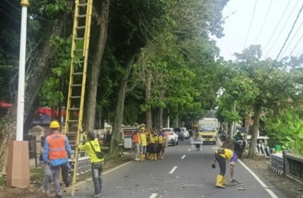 PLN Cirebon dan Dinas PU Kuningan Kolaborasi Jaga Listrik Aman di Cuaca Ekstrem