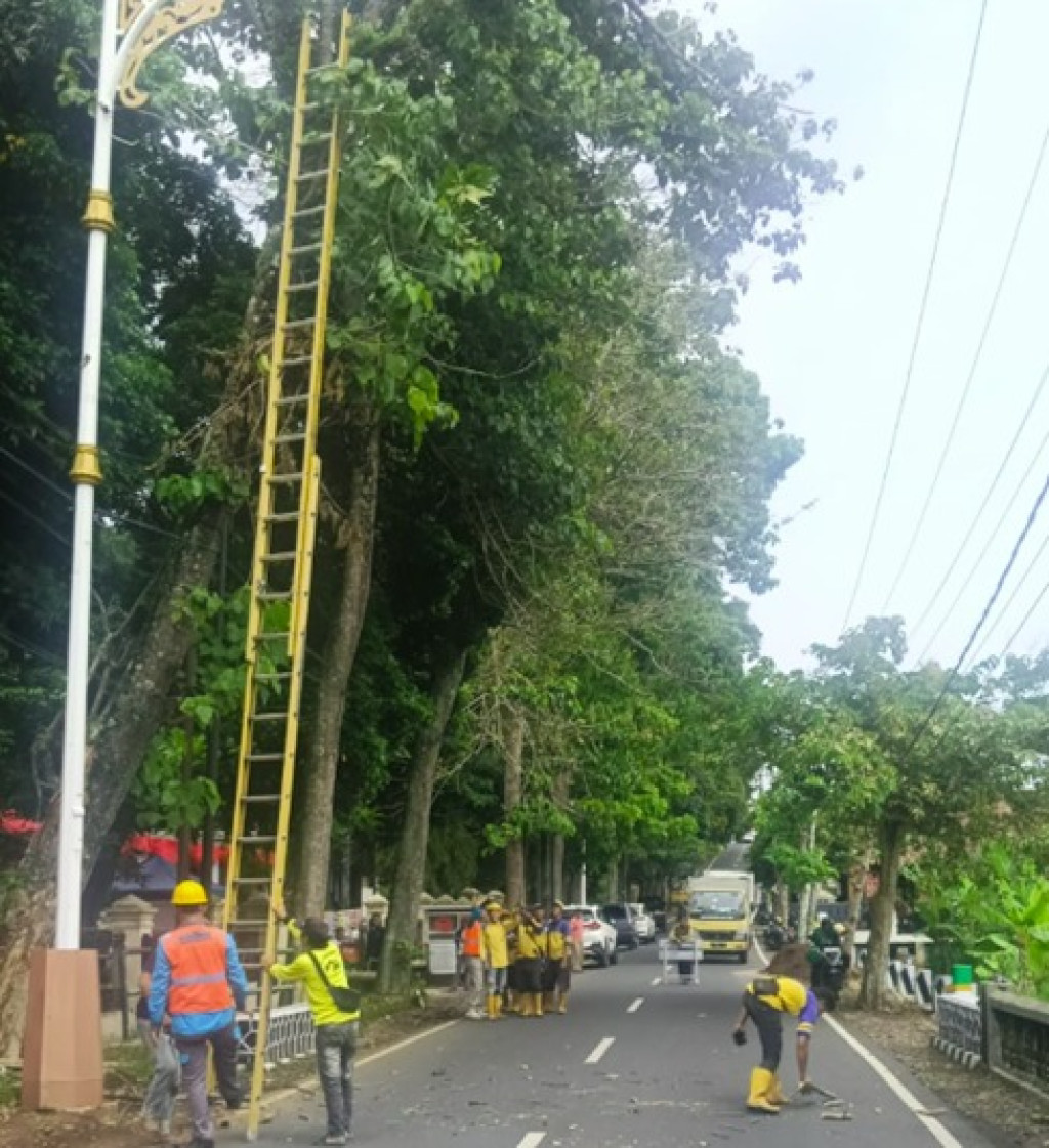 PLN Gelorakan Semangat Pahlawan Lewat Aksi Cepat Tangani Bahaya Kelistrikan di Lampung Timur
