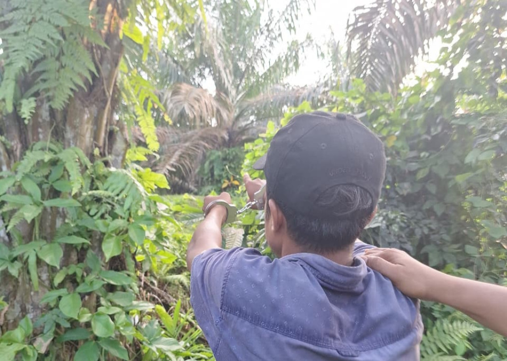 Polres Simalungun Tangkap Pencuri dan Penadah TBS di PTPN 4 Kebun Bah Jambi