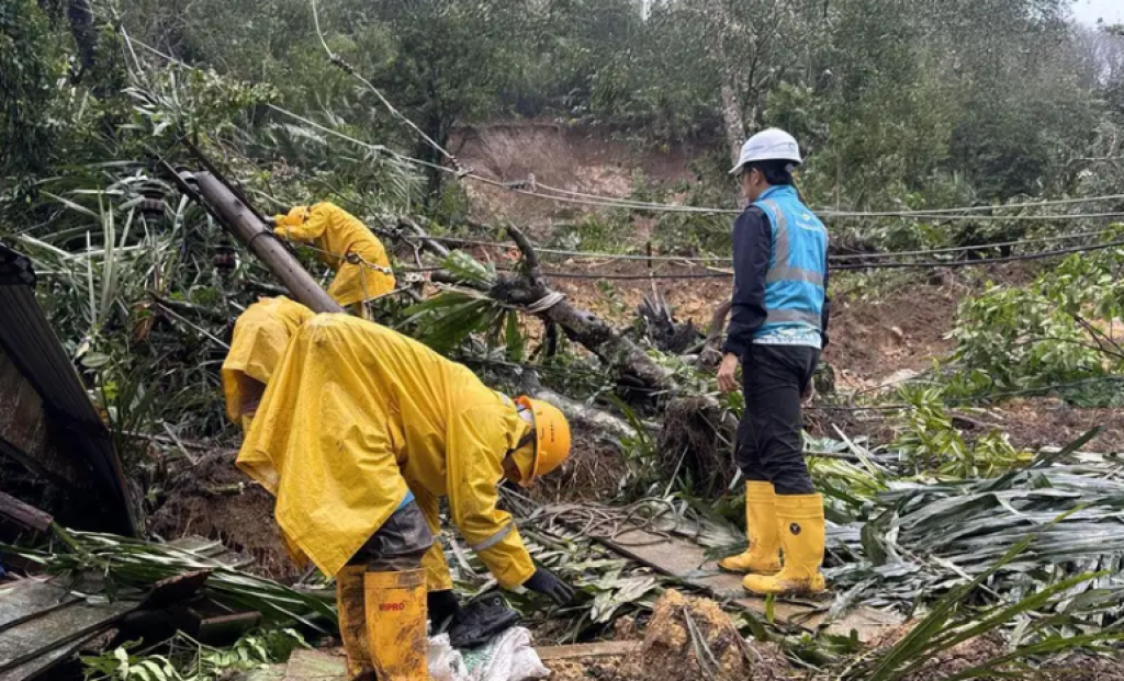 Respons Kilat PLN: Listrik di Sumatera Dipulihkan Bertahap Meski Akses Banyak Terputus