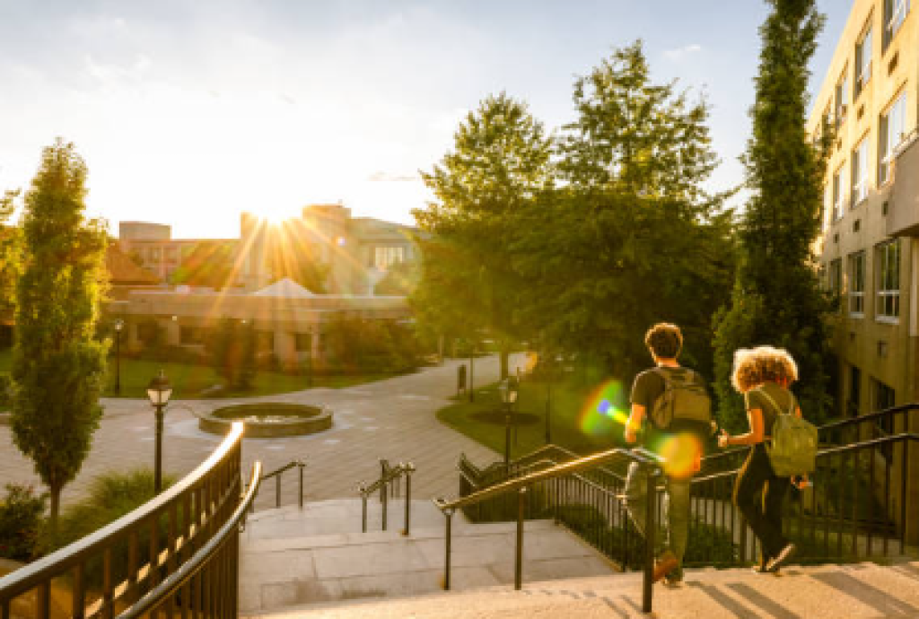 Riset Harvard: Sejumlah Jurusan Populer Kini Kehilangan Nilai di Pasar Kerja