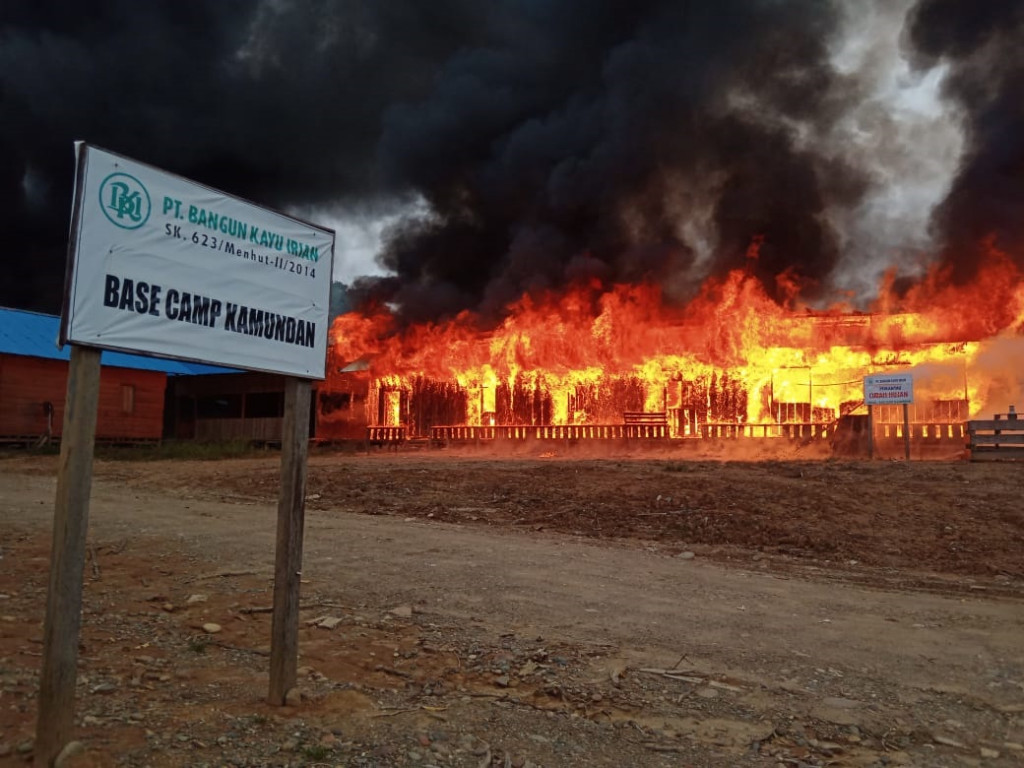Polda Papua Barat Sebut Pembakar Perusahan Kayu di Maybrat adalah Karyawan Sakit Hati Dipecat
