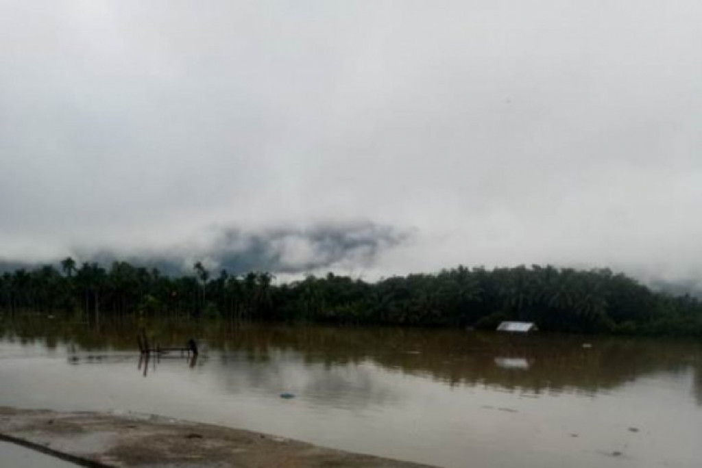 Sungai Batang Toru Tapsel Meluap Rendam Persawahan Hutaraja