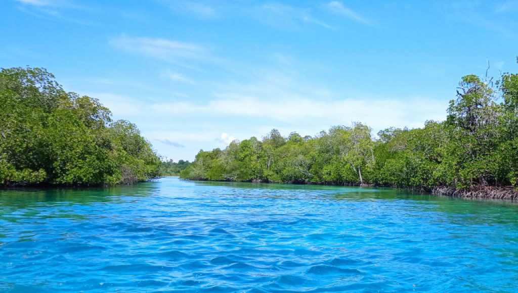 Buntut Lelang Kepulauan Widi, Pemerintah Bentuk Satgas Pulau Terluar