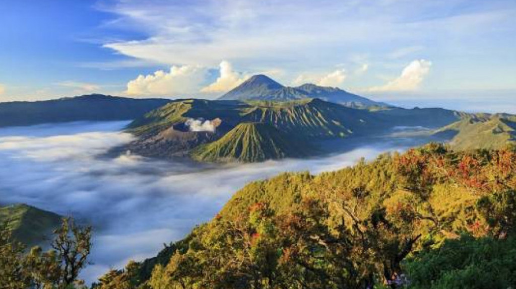 Bounce Nobatkan Bromo Tengger Semeru Jadi Taman Nasional Terindah di Dunia 2023