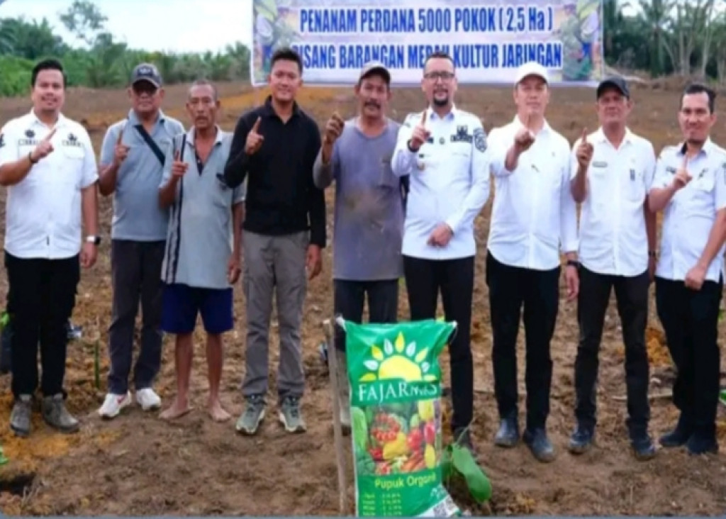 Bupati Labusel Fery Sahputra: Pertanian Pisang Berpeluang Lebih Menguntungkan dari Sawit