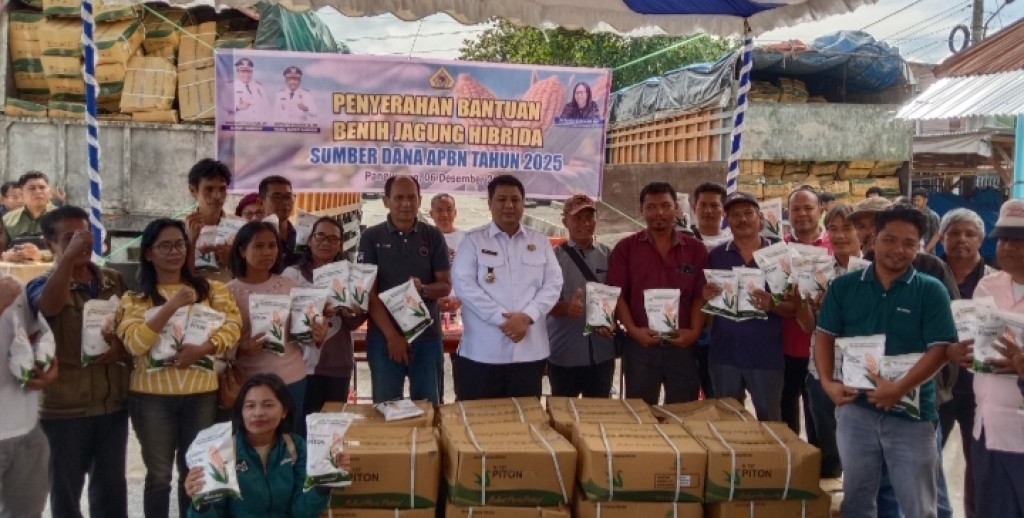 Bupati Samosir Salurkan Bantuan Benih Jagung Hibrida Dari Kementerian Pertanian Pada Kelompok Tani Sebanyak 31.050 Kg