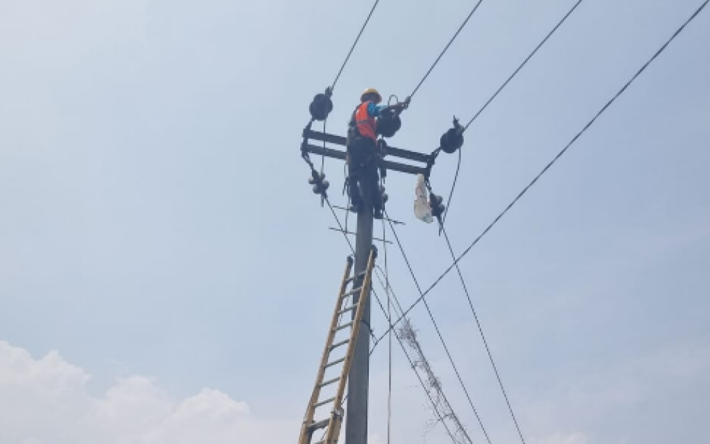 Cegah Gangguan Sejak Dini, PLN Gunung Putri Grebek Penyulang di Cileungsi