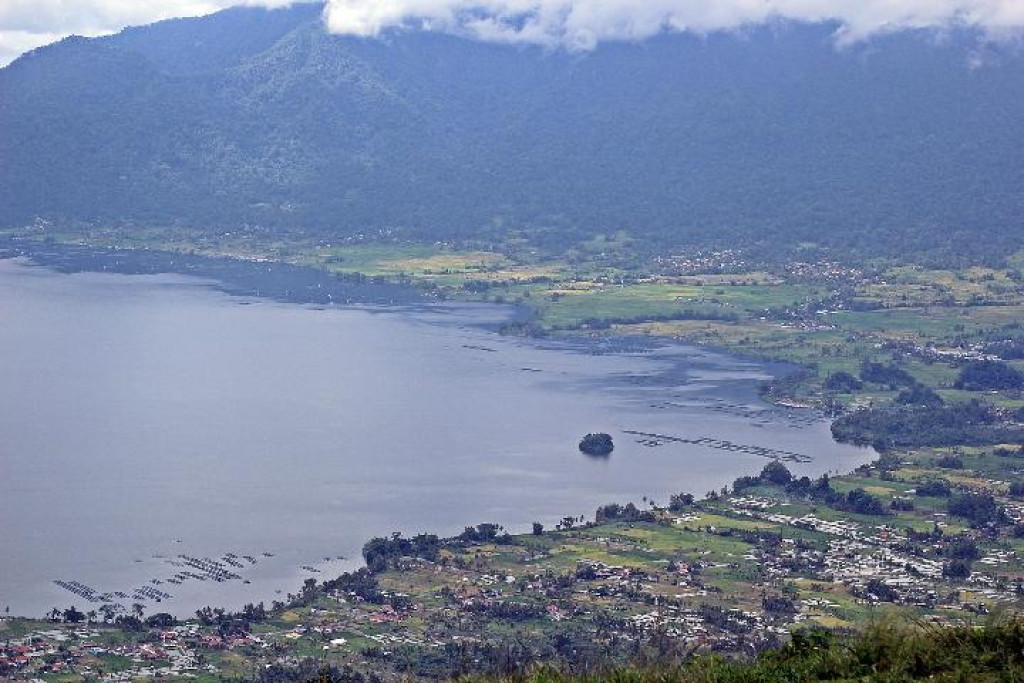 Cuaca Ekstrem Picu Kematian Massal Ikan di Danau Maninjau