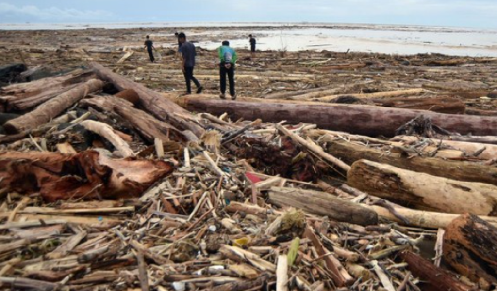 Deretan Kayu Gelondongan di Lokasi Banjir Sumatra Picu Investigasi Satgas PKH dan Desakan DPR
