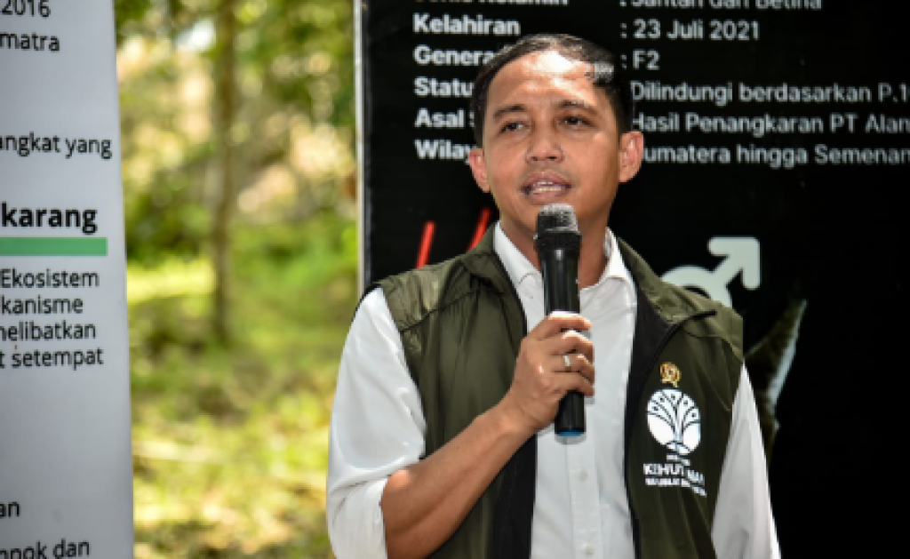 Di Tengah Kritik Publik, Menhut Pastikan Tak Keluarkan Izin Eksploitasi Hutan