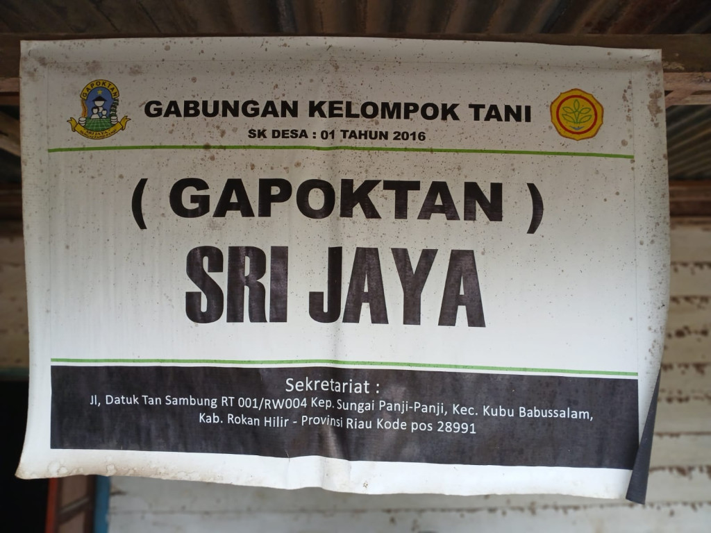 Diduga Minim Sosialisasi, Petani Sungai Panji Panji Tanggung Biaya Penjetoran Meski Sudah Dibiayai Pemerintah