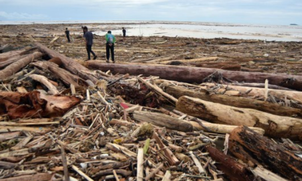 Gelondongan Kayu Bermunculan Saat Banjir Hantam Sumatera, Ada Apa di Garoga dan Batang Toru?