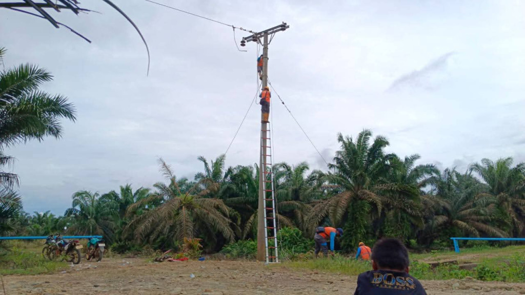 HABIS GELAP TERBITLAH TERANG: Lumut Kembali Menyala, Trimakasih PLN