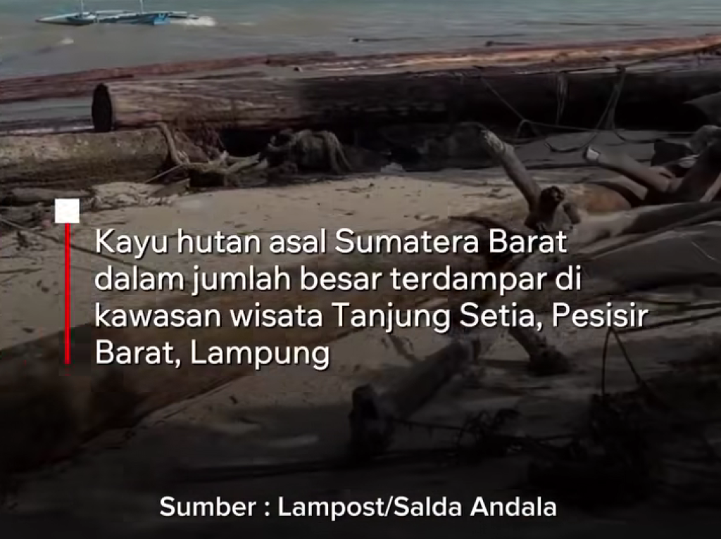 Kayu Gelondongan Asal Sumbar Terdampar di Lampung