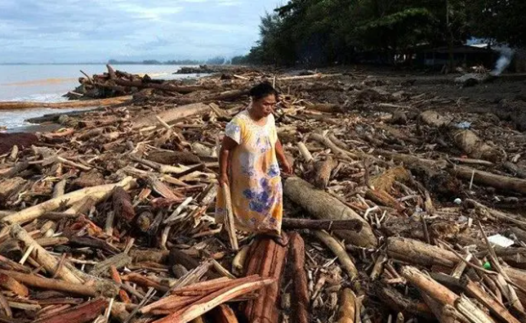 KLH Geram! Delapan Korporasi Diduga Jadi Biang Kerok Banjir Bandang Sumatera-Aceh
