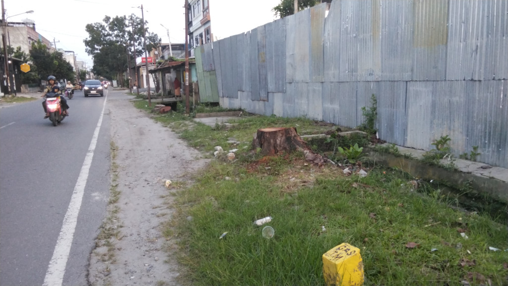 Lapor Pak Walikota!!! Pohon Milik Pemko di Jalan Sidorukun Medan Ditebang OTK