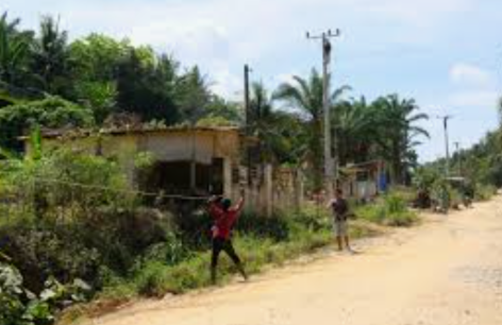 Listrik Desa Menyala 24 Jam, PLN Gerakkan Masa Depan Pulau Mare