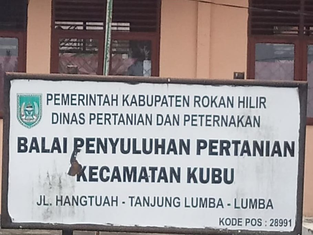 Luas Lahan Oplah Padi di Teluk Merbau Dipertanyakan Warga, Ini Penjelasan Penyuluh Pertanian