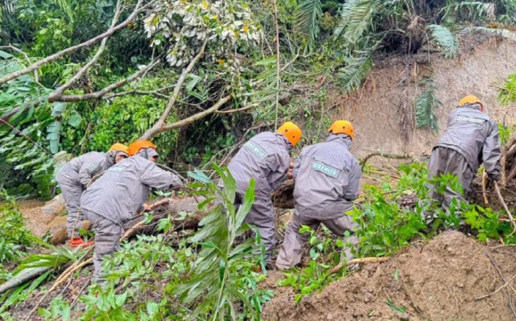 Menembus Longsor Demi Terang: Kisah Petugas PLN Selamatkan Listrik Sibolga
