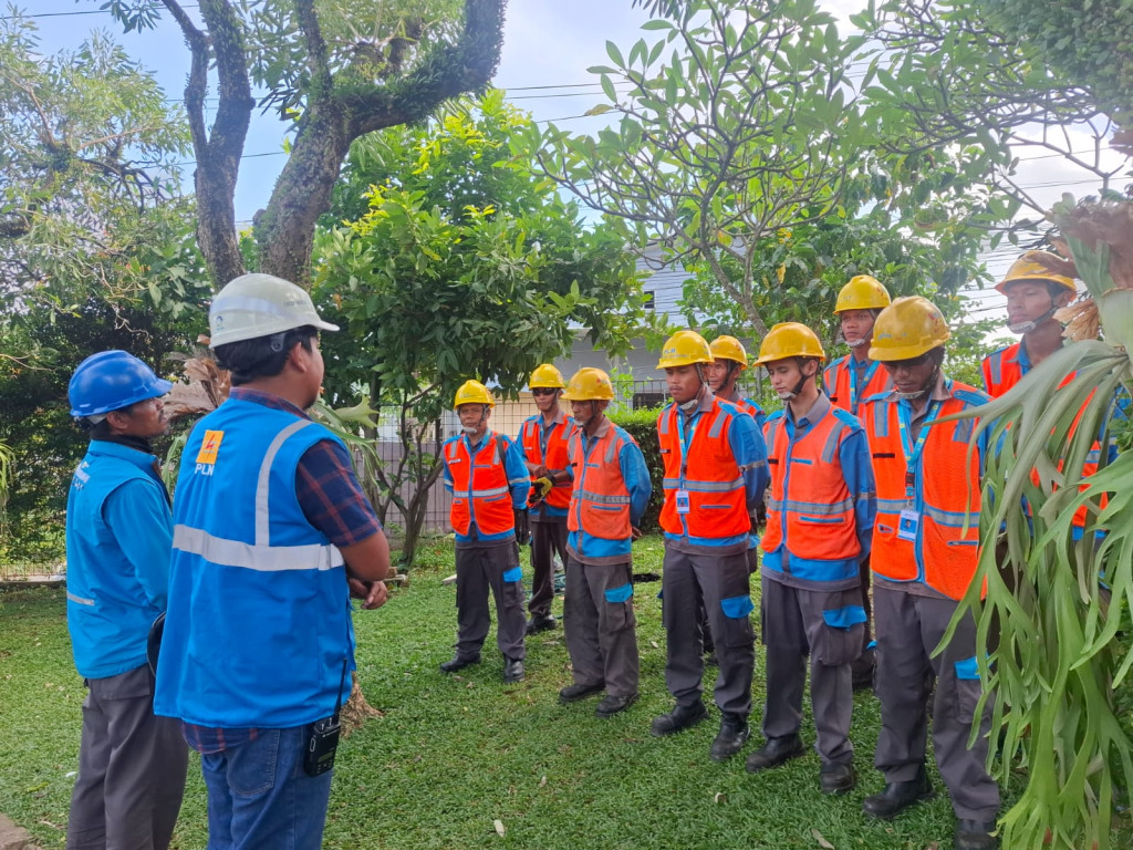 Mitigasi Risiko Pohon Tumbang, PLN ULP Cimanggis Bersihkan Jaringan Listrik di Wilayah Tapos