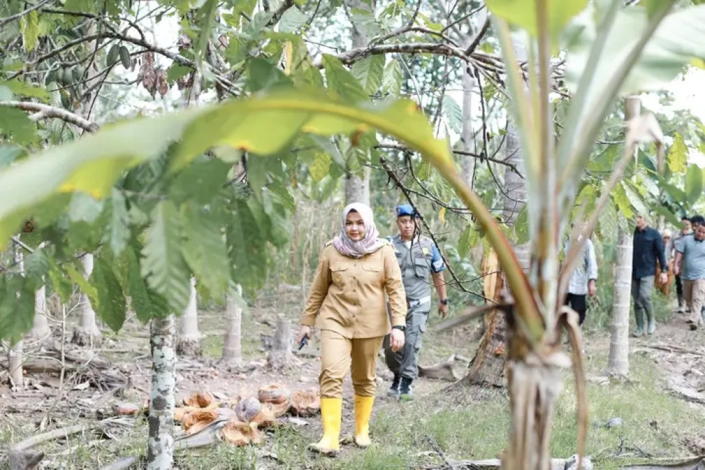 Normalisasi Aek Namora untuk Percepatan Tanam Padi Pascabencana