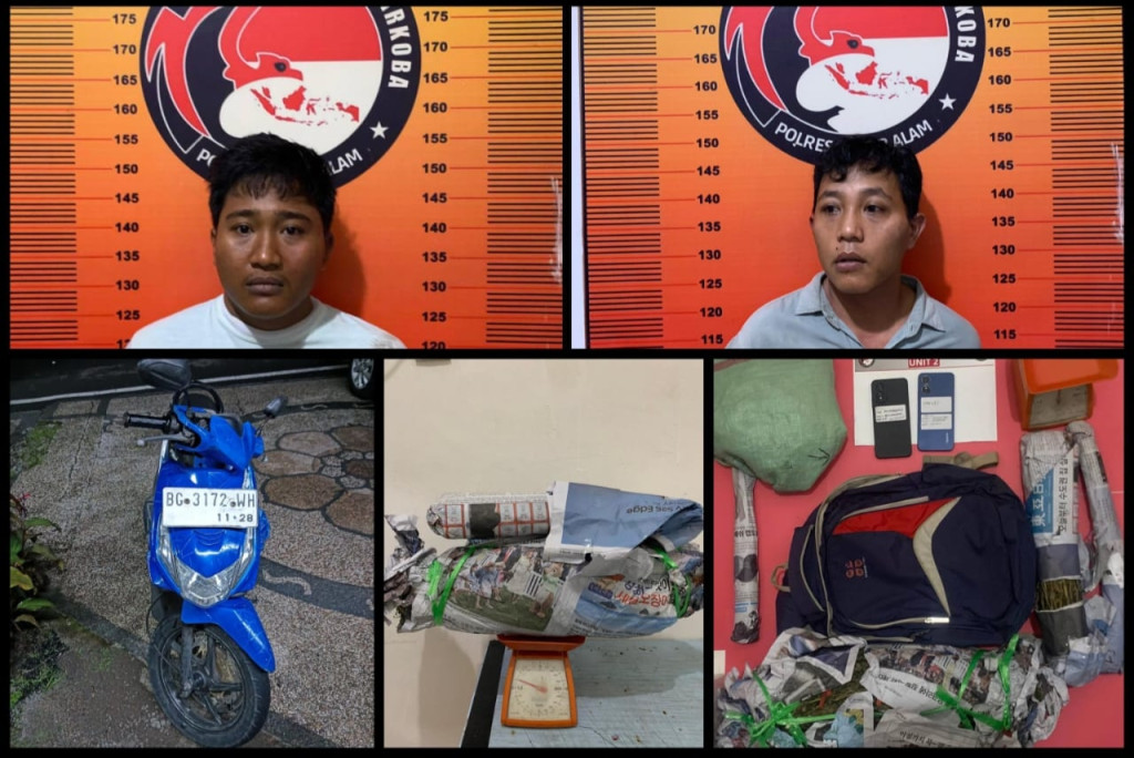 Operasi Senyap! Dua Kakak-Adik Di Pagar Alam Ditangkap, 1,7 Kg Ganja Siap Edar Diamankan