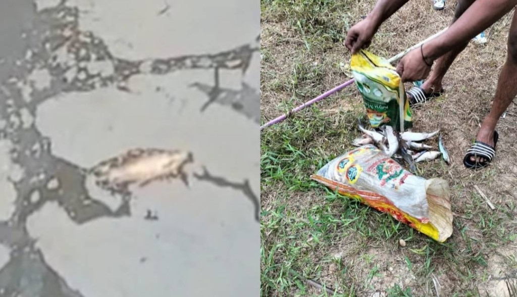 Pasca Dugaan Kebocoran Limbah PKS PT Rigunas Agri Utama, DLH Inhu: Hasil Lab Keluar Sepekan Lagi