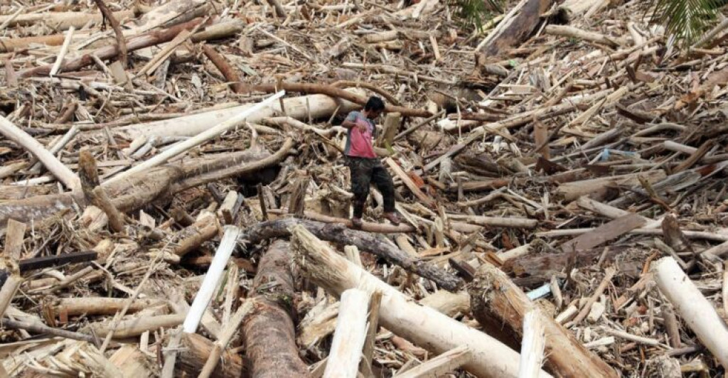 Pemerintah Atur Pemanfaatan Kayu Banjir untuk Rehabilitasi Sumatra