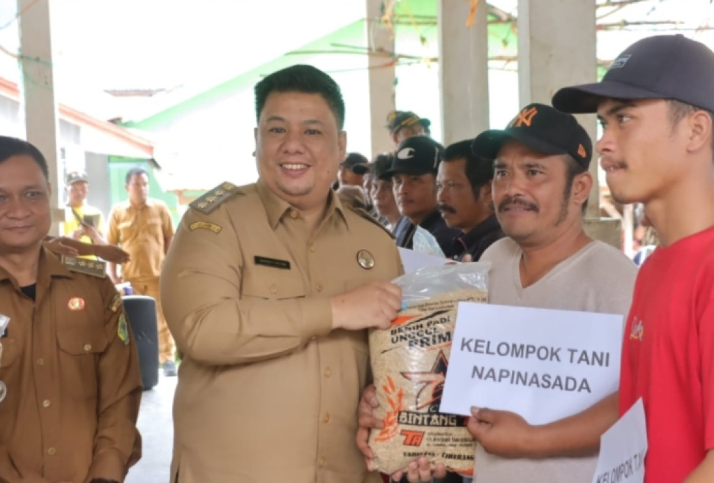 Pemkab Samosir Salurkan Bantuan Bibit Padi 12.5 Ton Dari Pemprov Sumut