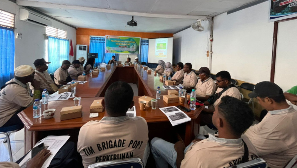 Penguatan Brigade Pala, Mendorong Pengendalian OPT untuk Produktivitas Komoditas Pala Tomandin Fakfak