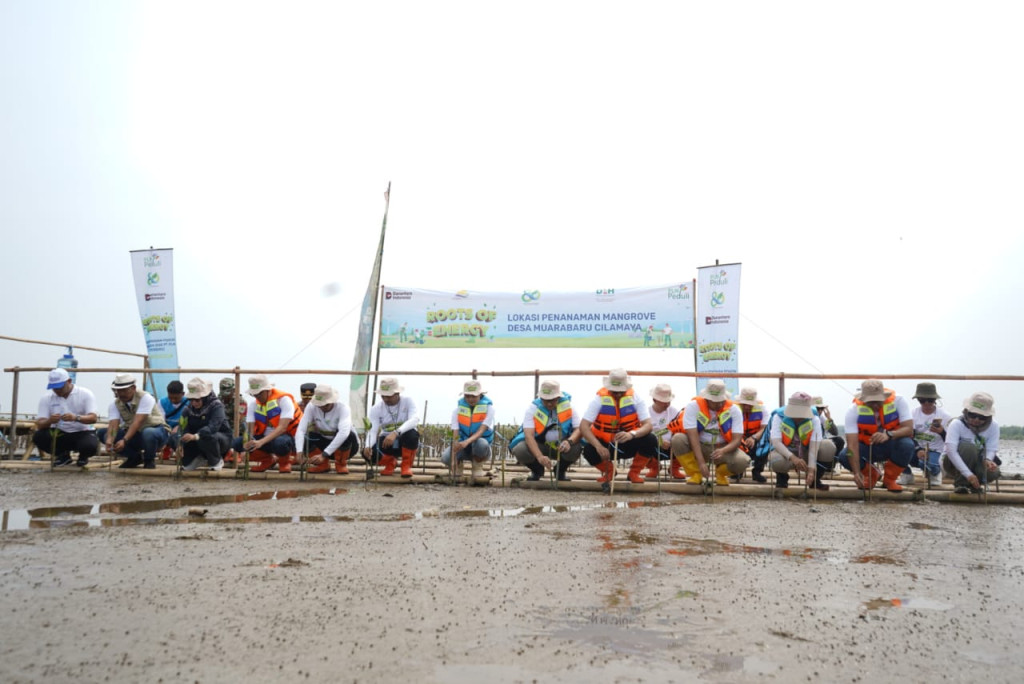 PLN Group Jawa Barat Wujudkan Aksi Nyata Peduli Lingkungan, Tanam 20 Ribu Pohon untuk Perkuat Pesisir Karawang