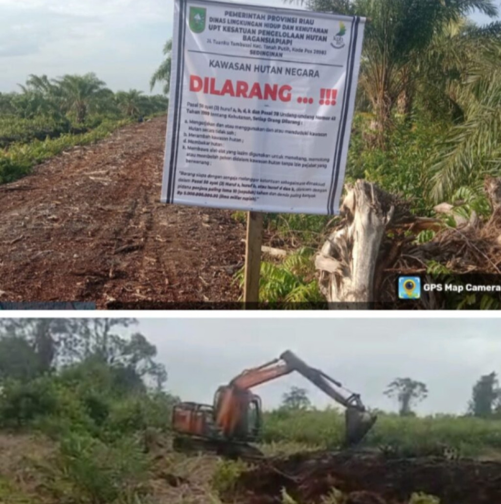 Ratusan Hektar Lahan Negara Digarap Pengusaha, KPH Sedinginan Pasang Plang Larangan di Sungai Pinang