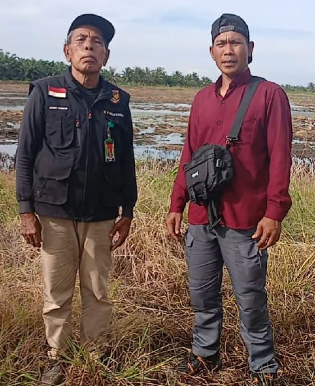 Ratusan Petani Padi Oplah di Kubu-Kuba Diduga Tak Terima Bantuan, LSM Desak Aparat Turun Tangan