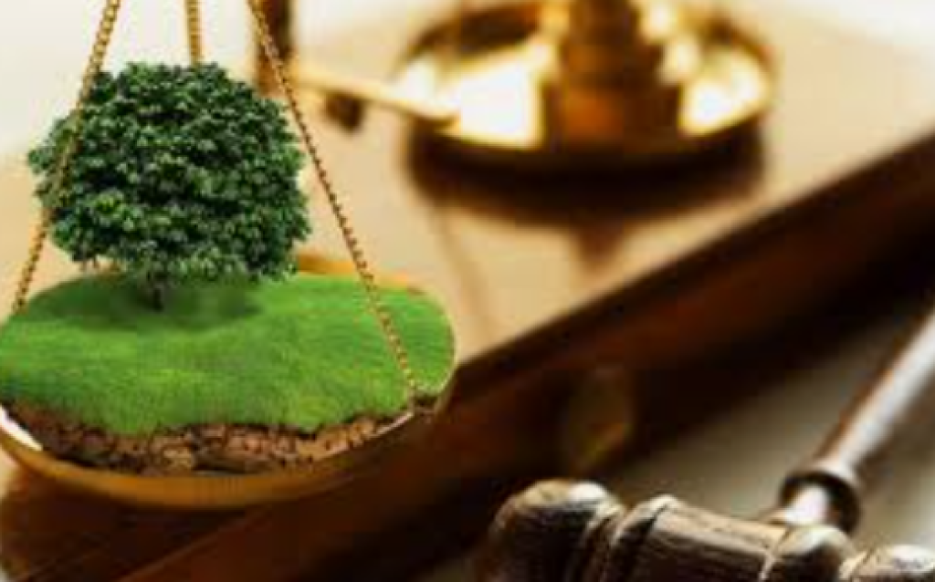 Rumah yang Dirampas Tanpa Palu Hakim