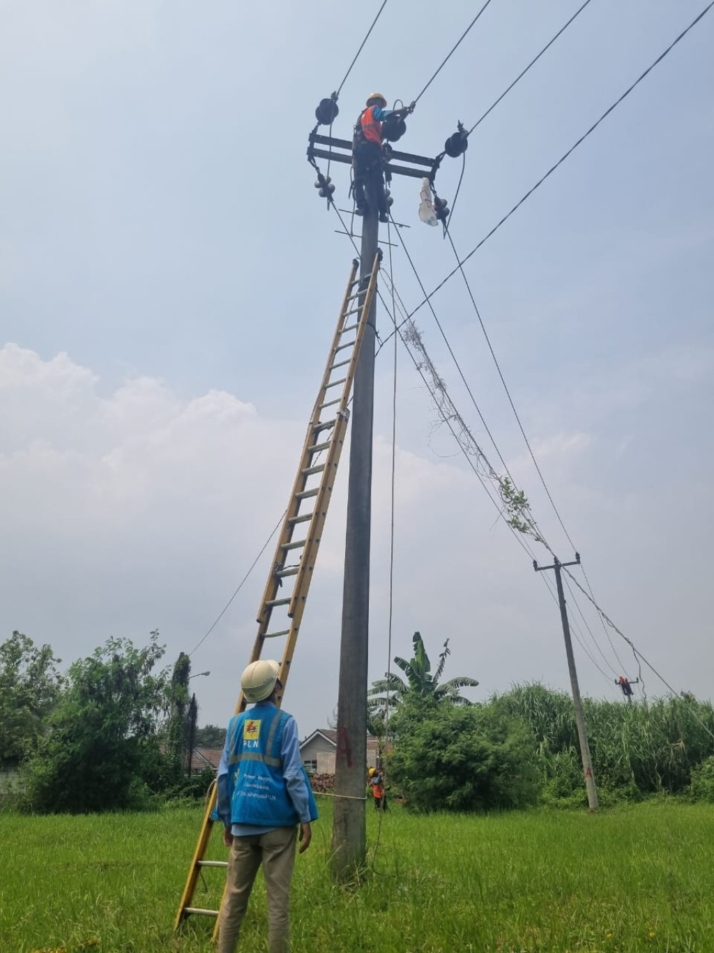 Sinergi Ratusan Personel! PLN UP3 Gunung Putri Gelar Grebek Penyulang Cantik Demi Listrik Berkualitas