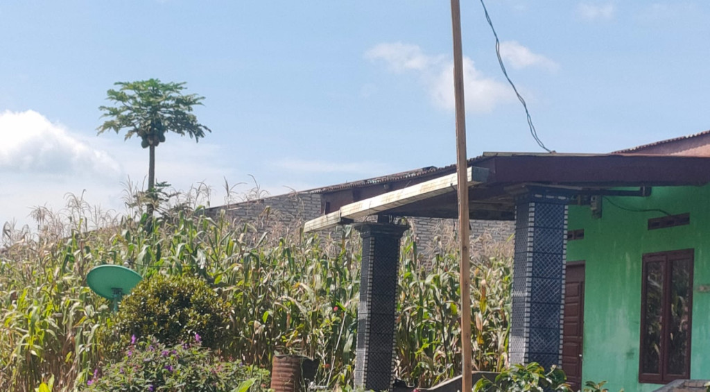 Tiang Listrik dari Bambu, Warga Sitinjo II Dairi Mohon Perhatian PLN