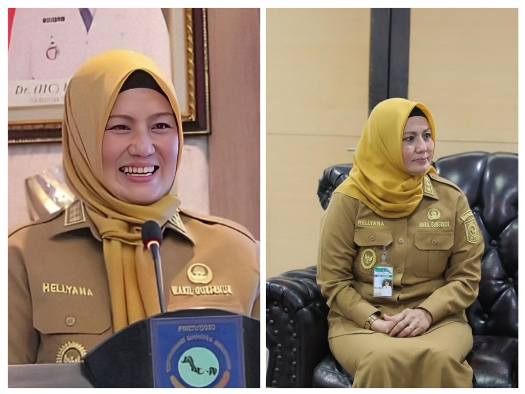 Wagub Babel Hellyana Terseret Kasus Dugaan Ijazah Palsu, Harta Kekayaan Capai Rp5,6 Miliar