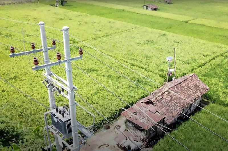 Jaringan Tegangan Menengah (JTM) 20 kilovolt (kV) PLN membentang di kawasan persawahan Desa Sukorejo, Ponorogo, Jawa Timur sebagai bagian dari upaya mendukung program Electrifying Agriculture untuk meningkatkan produktivitas sektor pertanian.