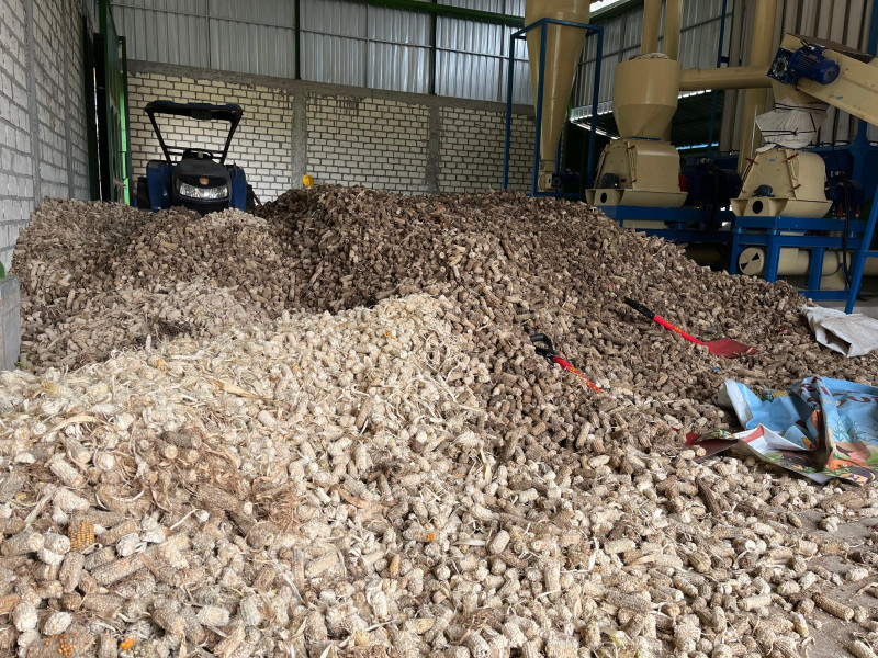 Limbah bonggol jagung dari petani  di Tuban diolah melalui mesin hammer mill bantuan CSR PLN Nusantara Power UP Tanjung Awar-awar sebelum dijadikan sebagai campuran biomassa  pada co-firing PLTU Tuban. Bantuan mesin tersebut  untuk meningkatkan kapasitas produksi Koperasi Energi Cakrawala Nusantara yang mengolah limbah jagung dari petani menjadi biomassa untuk co-firing PLTU.