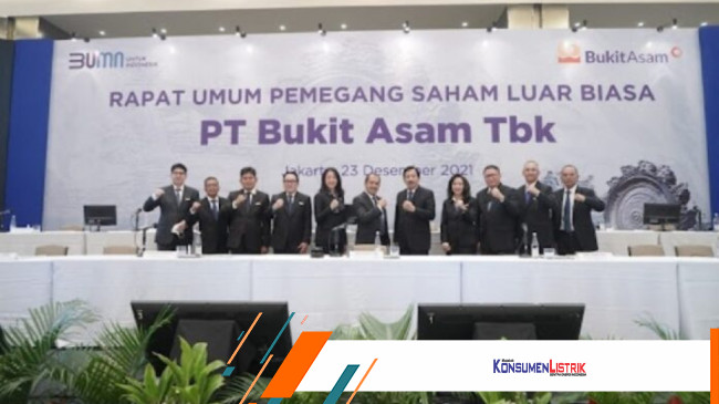 Ini Susunan Komisaris Dan Direksi Baru PTBA - Konsumen Listrik