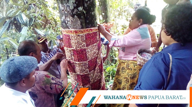 Wakil Bupati Fakfak: Pala Adalah Simbol Kehidupan Yang Harus Dijaga ...