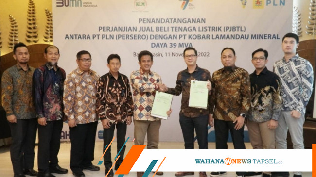 Dukung Hilirisasi Mineral, PLN Siap Pasok Listrik 39 MVA Ke Smelter ...