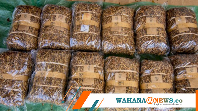 Tembakau RI Laris Manis, Rokok Indonesia Mendunia - Wahana News